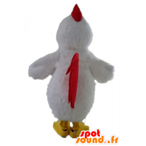 Mascot gigante gallina bianca. gallo mascotte bianca - MASFR028718 - Mascotte di galline pollo gallo