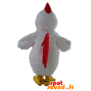 Jätte vit hönsmaskot. Vit tuppmaskot - Spotsound maskot