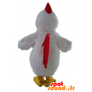 Mascot gigante gallina blanca. mascota del gallo blanco - MASFR028718 - Mascota de gallinas pollo gallo