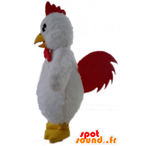 Mascot gigante gallina bianca. gallo mascotte bianca - MASFR028718 - Mascotte di galline pollo gallo