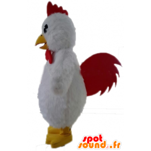 Mascotte reusachtige witte kip. witte haan mascotte - MASFR028718 - Mascot Hens - Hanen - Kippen