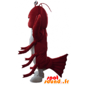 Mascota de langosta gigante. cangrejos de la mascota - MASFR028719 - Langosta de mascotas