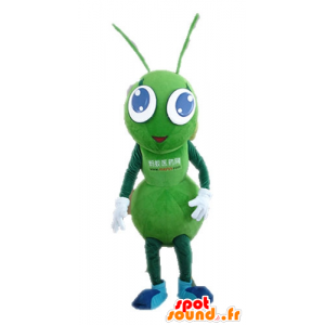 Mascot hormigas verdes, gigante. mascota del insecto - MASFR028723 - Insecto de mascotas