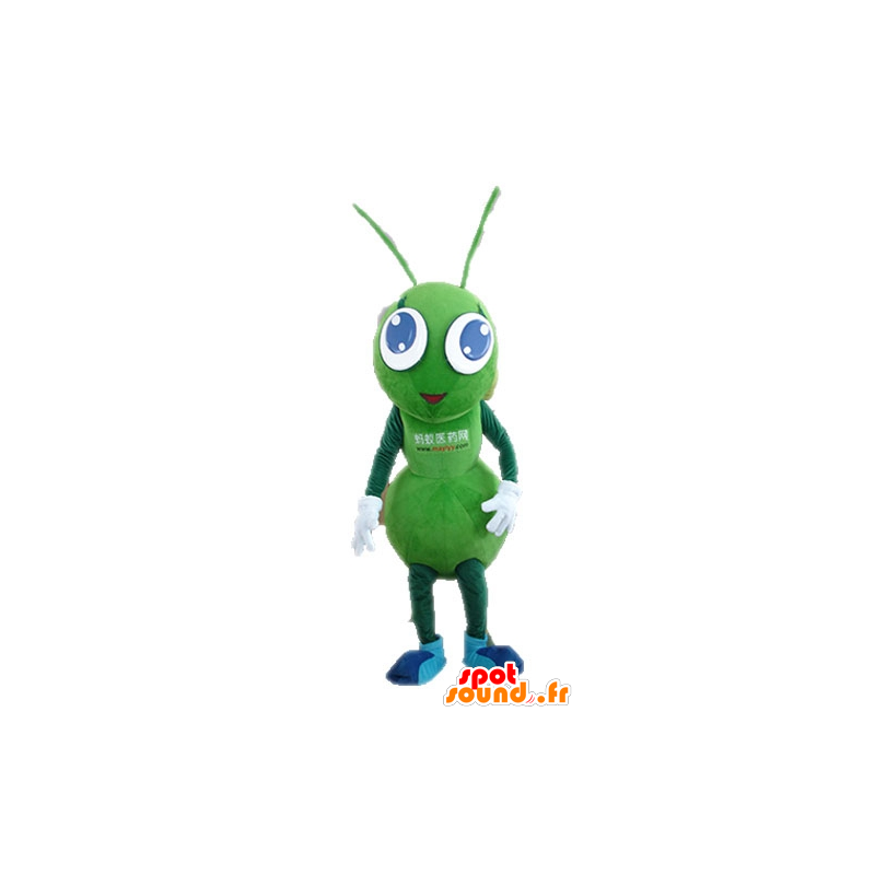 Mascot formiche verdi, gigante. insetto mascotte verde - MASFR028723 - Insetto mascotte