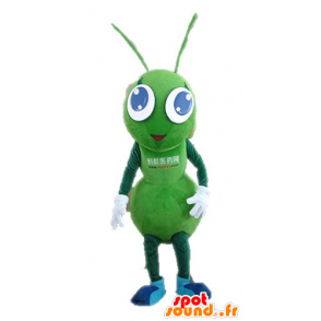 Mascot formiche verdi, gigante. insetto mascotte verde - MASFR028723 - Insetto mascotte