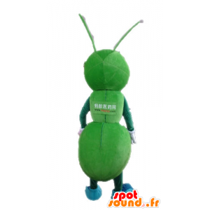 Mascot formiche verdi, gigante. insetto mascotte verde - MASFR028723 - Insetto mascotte