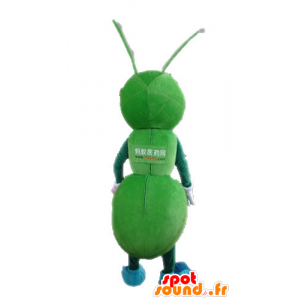 マスコットの緑のアリ、巨人。緑の昆虫のマスコット-MASFR028723-昆虫のマスコット