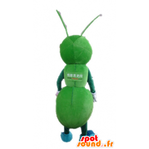 Maskot zelené mravence, obra. zelená hmyzu maskot - MASFR028723 - maskoti Insect