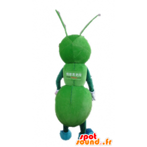 Maskotgröna myror, jätte. Grön insektsmaskot - Spotsound maskot