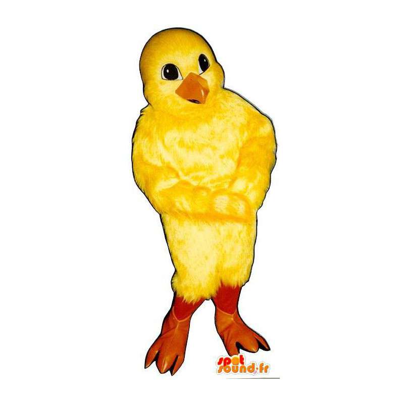 Mascot amarillo canario. El polluelo de vestuario - MASFR007315 - Mascota de gallinas pollo gallo