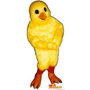 Mascot amarillo canario. El polluelo de vestuario - MASFR007315 - Mascota de gallinas pollo gallo