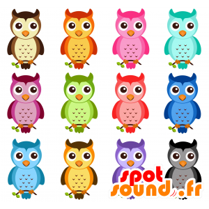 Colorido mascote coruja. Mascot coruja - MASFR029120 - 2D / 3D mascotes