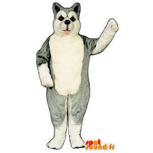 Husky cane mascotte, grigio e bianco - MASFR007369 - Mascotte cane