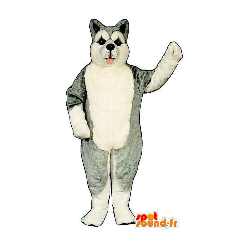 Husky cane mascotte, grigio e bianco - MASFR007369 - Mascotte cane