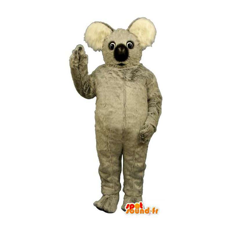 Mascot grå koala teddy - MASFR007429 - koala Maskoter
