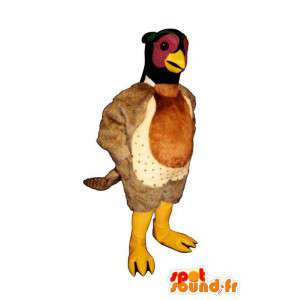 Faisán de la mascota. Faisán de vestuario - MASFR007445 - Mascota de gallinas pollo gallo