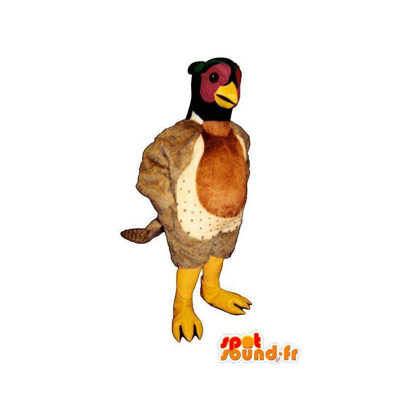 Mascot fasaani. puku fasaani - MASFR007445 - Mascotte de Poules - Coqs - Poulets