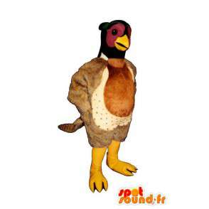 Mascot pheasant. Costume pheasant - MASFR007445 - Mascot of hens - chickens - roaster