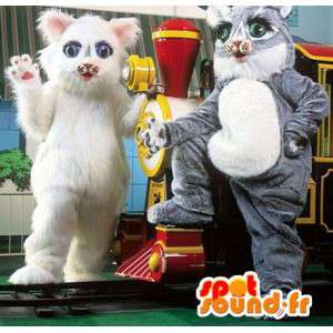 Harmaa ja valkoinen kissa maskotteja. 2 kpl puvut - MASFR007522 - kissa Maskotteja