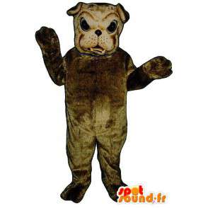 Brown mascota bulldog - MASFR007597 - Mascotas perro