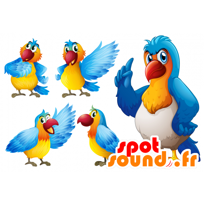 Mascota de loro colorido, gigante y muy exitoso - MASFR030688 - Mascotte 2D / 3D