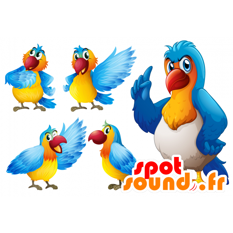 Kolorowe papugi maskotka, gigantyczny i bardzo udany - MASFR030688 - 2D / 3D Maskotki