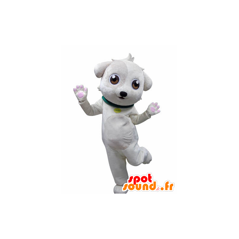 Hvit hund maskot, søt og søt - MASFR031020 - Dog Maskoter Hvit hund maskot, søt og søt - MASFR031020 - Dog Maskoter