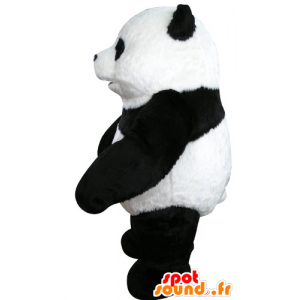 La mascota de la panda negro y blanco, hermoso y realista - MASFR031070 - Mascota de los pandas