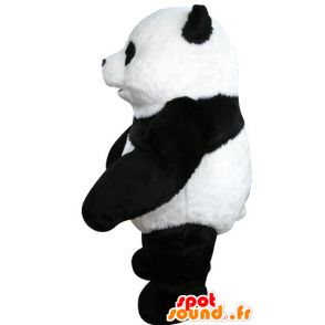 La mascota de la panda negro y blanco, hermoso y realista - MASFR031070 - Mascota de los pandas