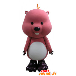 Bever maskot, rosa og hvitt Groundhog - MASFR031136 - Beaver Mascot