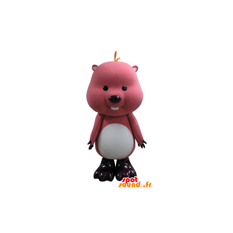 Bever mascotte, roze en wit groundhog - MASFR031136 - Beaver Mascot