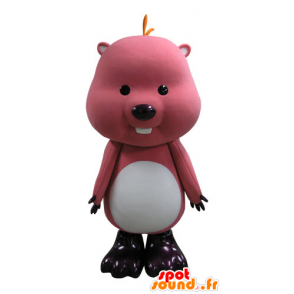 Beaver mascotte, rosa e bianco delle marmotte - MASFR031136 - Castori mascotte