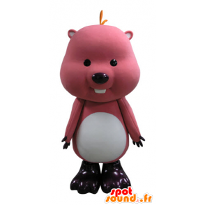 Bobr maskot, růžové a bílé groundhog - MASFR031136 - Beaver Maskot