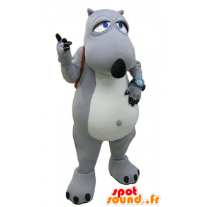 Mascotte grigio e orso bianco con una cartella - MASFR031177 - Mascotte orso