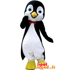 Mascot penguin black and white, with beautiful blue eyes - MASFR031237 - Penguin mascots