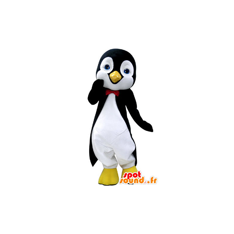 Mascot penguin black and white, with beautiful blue eyes - MASFR031237 - Penguin mascots