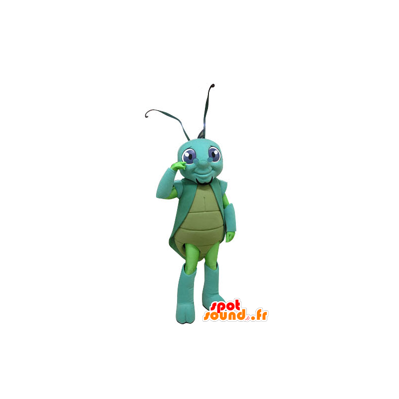 Cricket mascot, green, and blue insect - MASFR031256 - Mascots insect