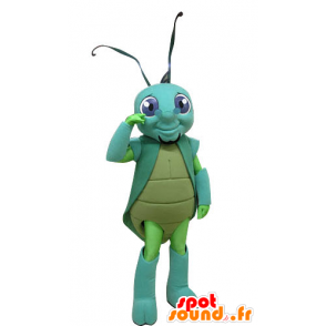 Cricket mascot, green, and blue insect - MASFR031256 - Mascots insect