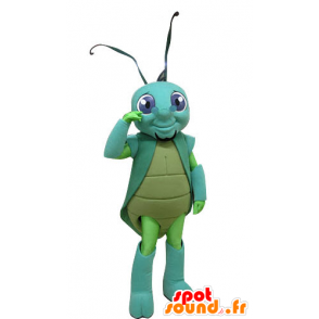 La mascota de cricket, verde y azul de insectos - MASFR031256 - Insecto de mascotas