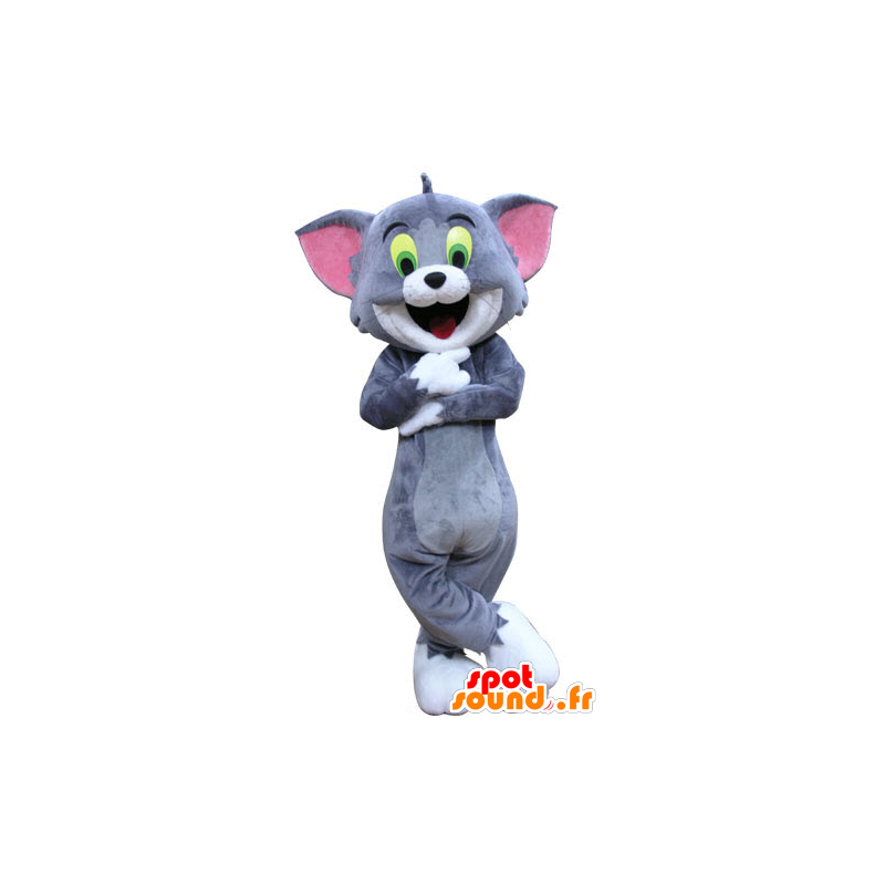 Tom mascot, the famous cartoon cat Tom and Jerry - MASFR031287 - Mascots Tom and Jerry