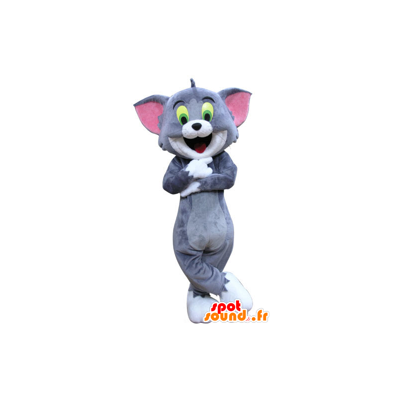 Tom mascote, o gato famoso desenho animado Tom e Jerry - MASFR031287 - Mascottes Tom and Jerry