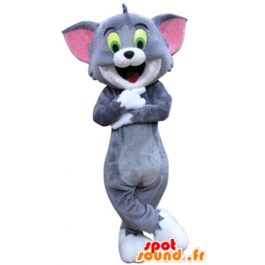 Tom mascot, the famous cartoon cat Tom and Jerry - MASFR031287 - Mascots Tom and Jerry