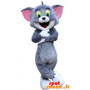 Tom mascotte, il famoso gatto cartoon Tom e Jerry - MASFR031287 - Mascotte Tom e Jerry