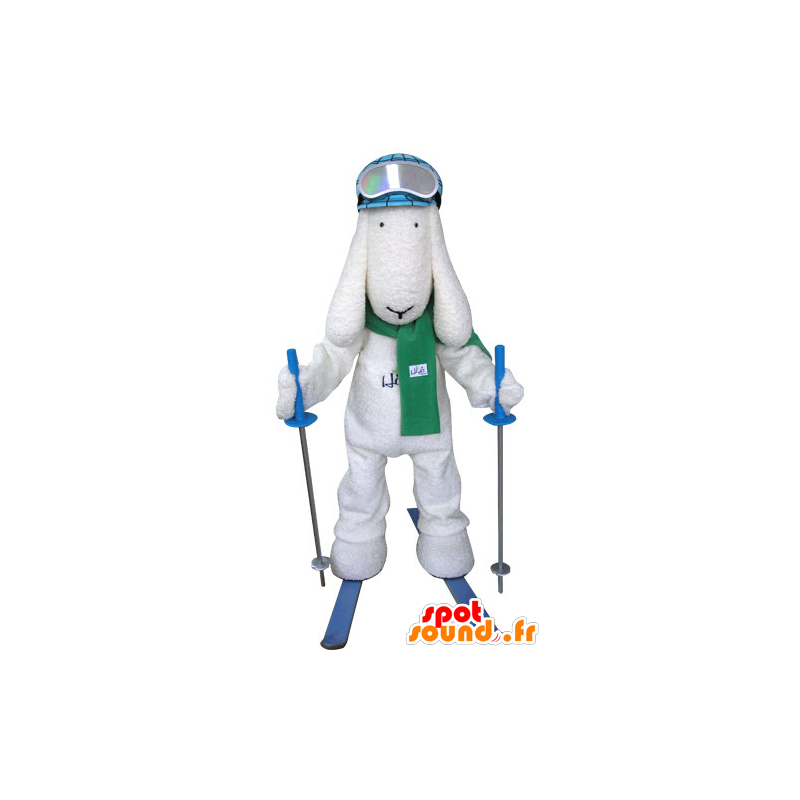 Bianco cane mascotte, sciatore - MASFR031297 - Mascotte cane