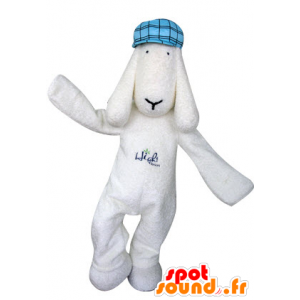 Mascot cão branco com uma boina azul - MASFR031300 - Mascotes cão