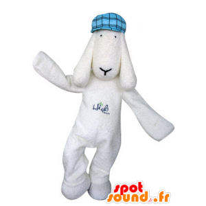 Mascotte witte hond met een blauwe baret - MASFR031300 - Dog Mascottes