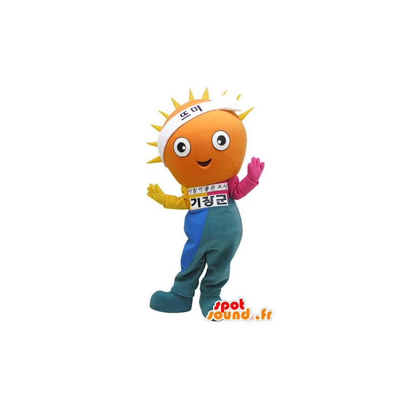 Sol de la mascota con un traje de colores - MASFR031318 - Mascotas sin clasificar