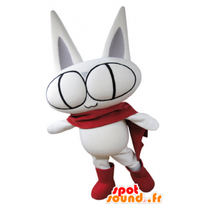 Toda la mascota gato blanco, con los ojos grandes - MASFR031373 - Mascotas gato