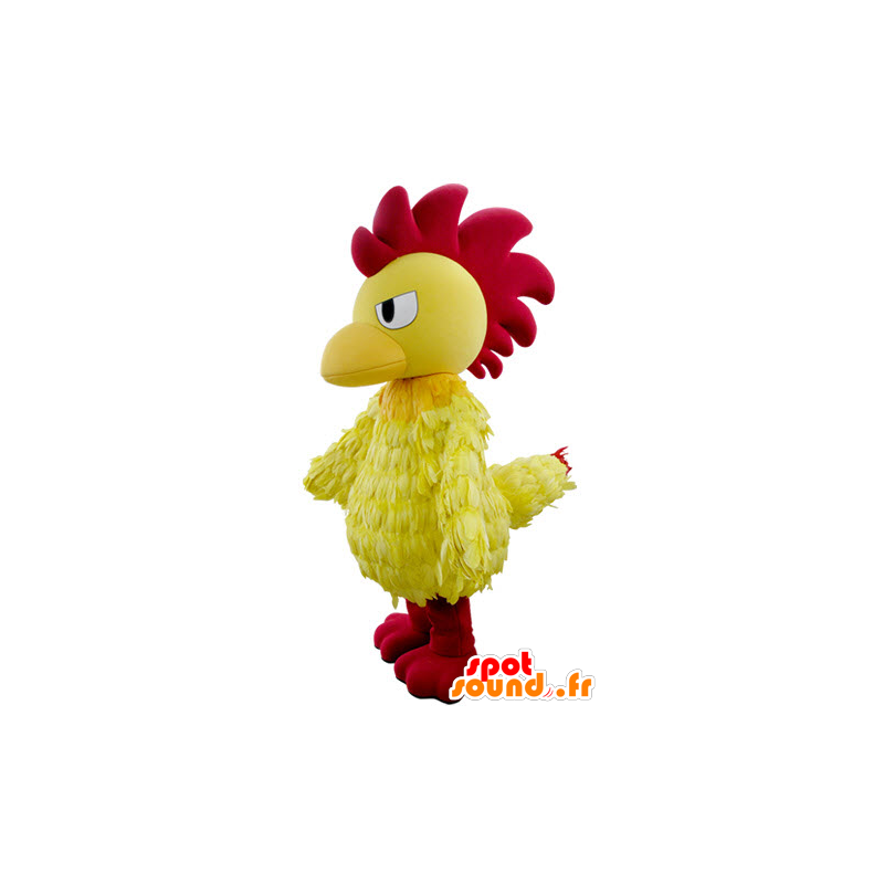 Mascot gallo giallo e rosso, a guardare feroce - MASFR031479 - Mascotte di galline pollo gallo