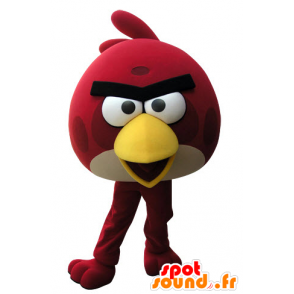 Mascot of red and yellow bird of the game Angry Birds - MASFR031517 - Mascot of birds